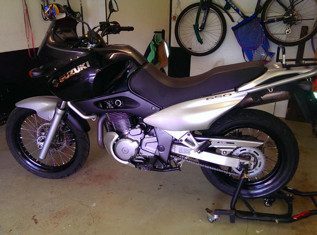 Suzi 650.jpg