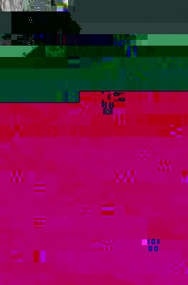 Größenänderung CIMG1429.JPG